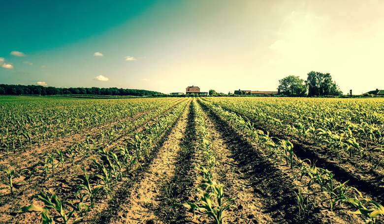 Farmers Are Using Politicians to Censor Whistleblowers