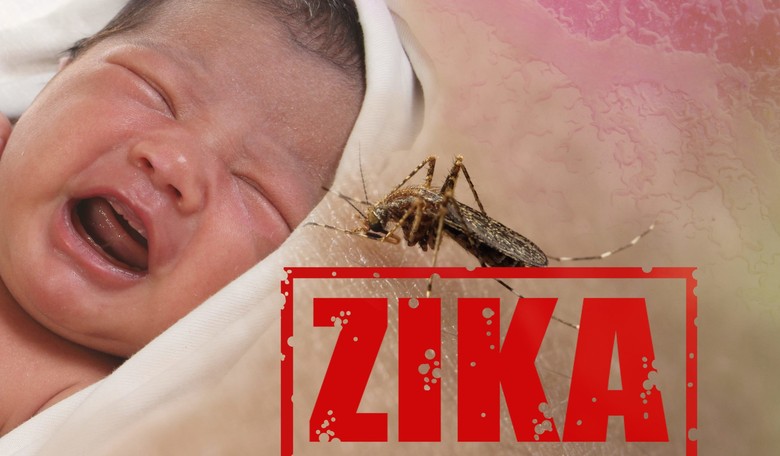 Devastating: Newborns Infected With Zika Virus Have Severe Brain Defects