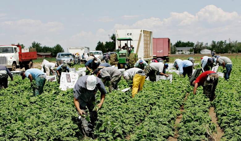 House Sneaks Through Amnesty Bill, Subsidizing Visa Farmworkers While Nation Focused on Impeachment