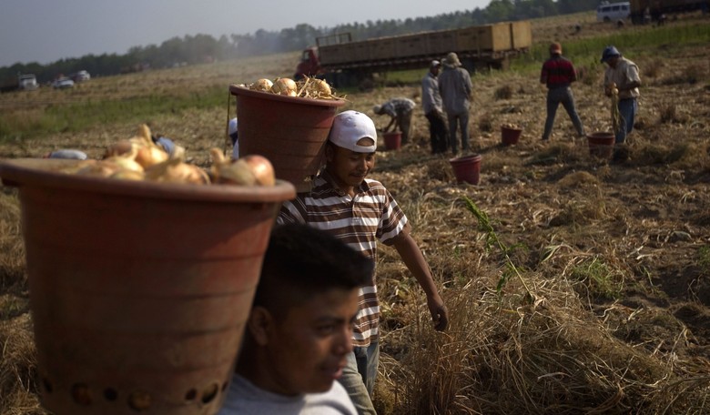 Trump to Give $16 Billion in Aid for America's Embattled Farmers