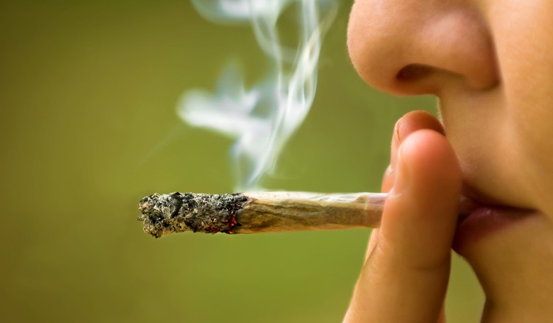 Four More States Legalize Recreational Pot: How Long Before Federal Prohibition Ends?