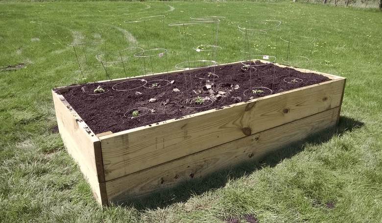 5 Steps to Creating a Successful Raised Garden Bed