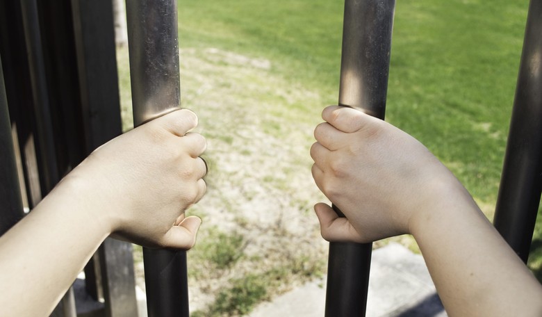 Virginia Gives Felons the Vote Back