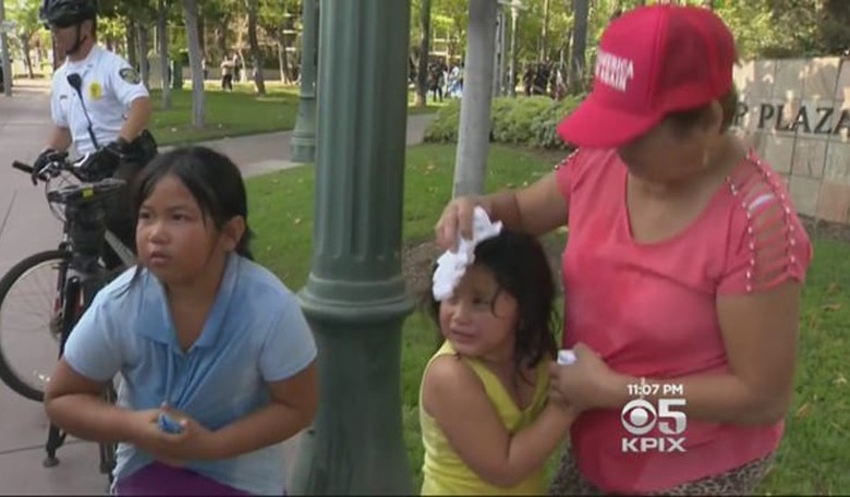 Anti-Trump Protester Pepper-Sprays Trump Supporters, Including Children, at Rally in CA