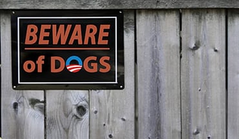 Sleeping Dogs Are Waking
