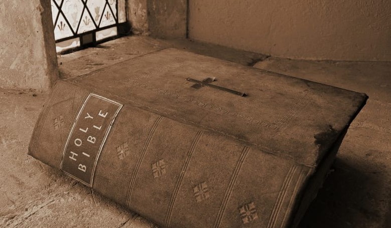 Daily Bible Reflection 11/25
