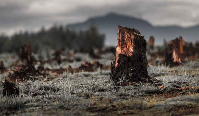 The Global World Hits a Snag