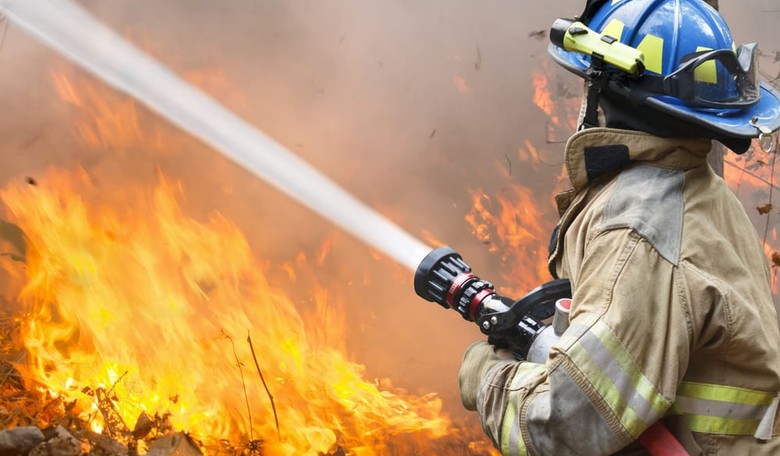 Senator Calls for Online Sales Tax Passage to Pay for Firefighters