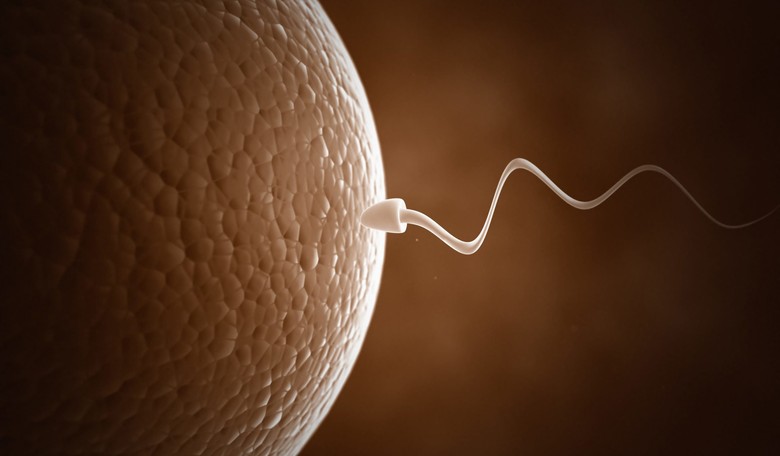 The Beginning of Life, in a Flash of Light