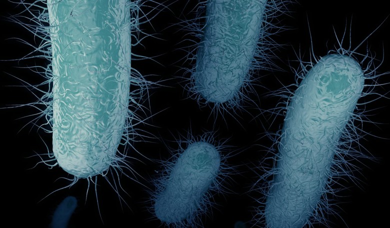 Apocalypse Nigh: Feared Superbug Resistant to 'Antibiotic of Last Resort' Now in U.S.