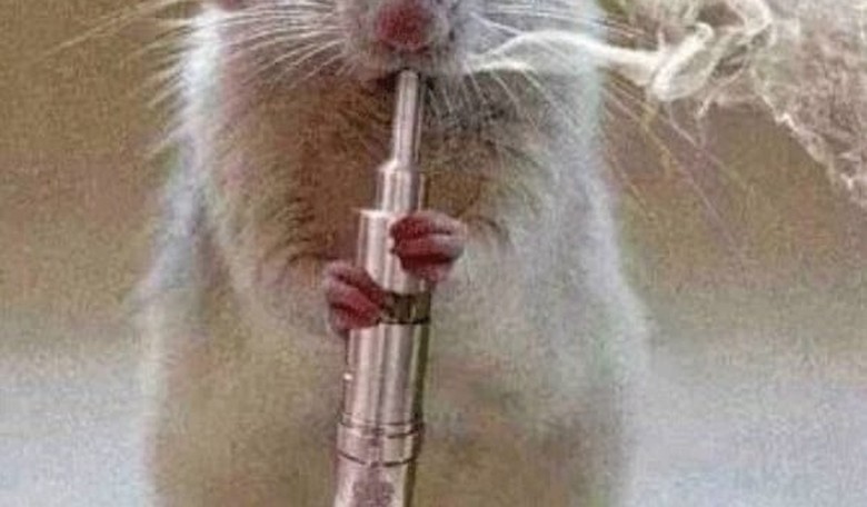 PETA Sides with Vapers Against FDA E-Cig Crackdown