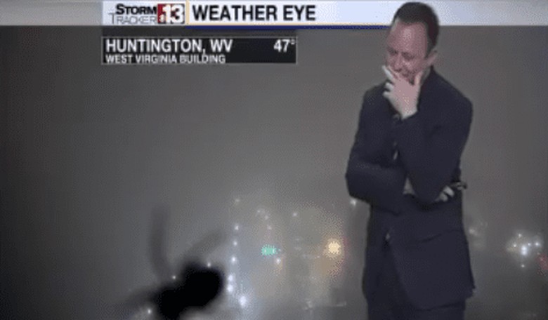 Spider Terrifies Weatherman Live on TV