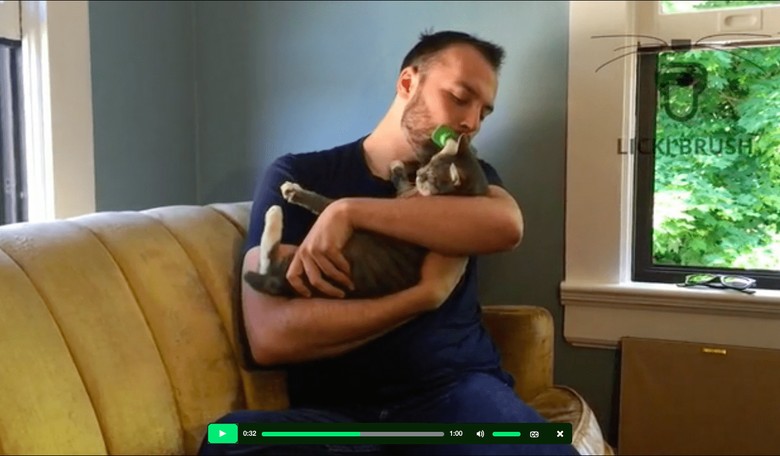 Crazy New Tongue Brush Lets You 'Lick' Your Cat