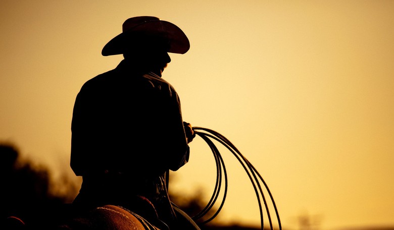 Magnificent 7 Rides, Cowboy Cinema Dies