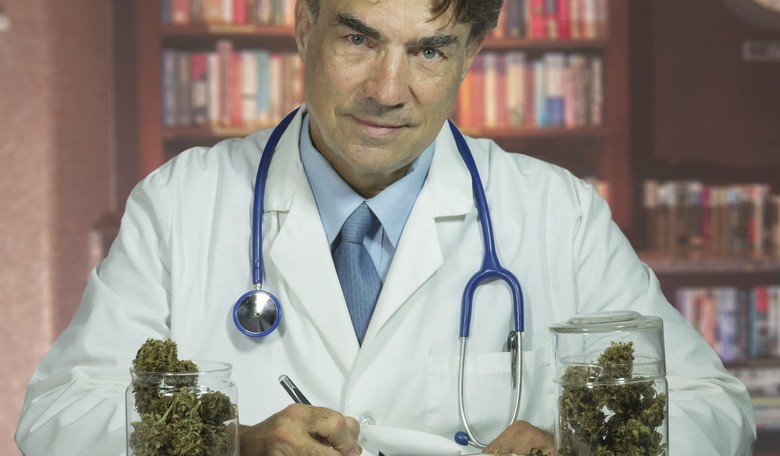 Maryjane Meets the Free Market, Free Market Wins