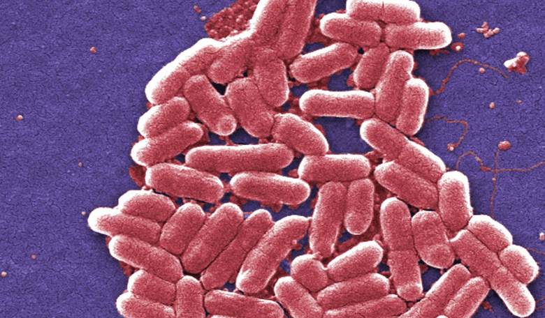 The Biggest Threat to Your Health You've Probably Never Heard Of