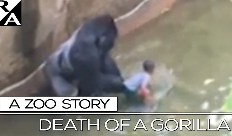 The Death of a Gorilla