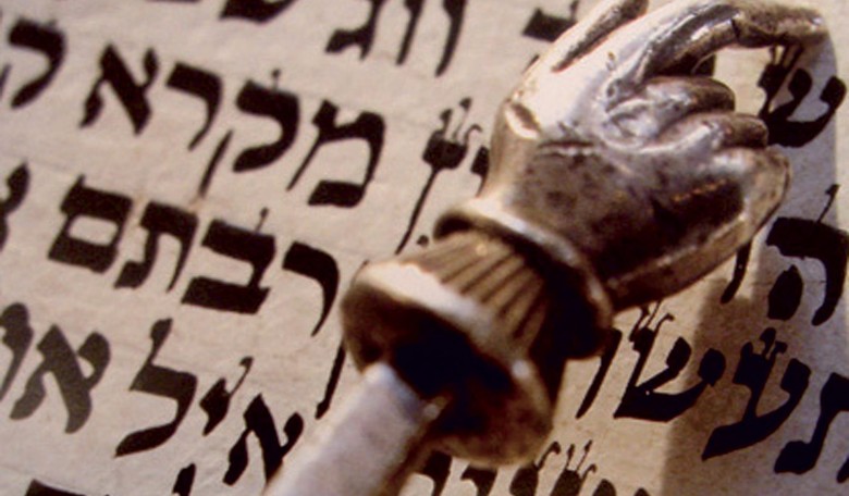 Why Does the Torah Call This Period 'Counting the Omer'?