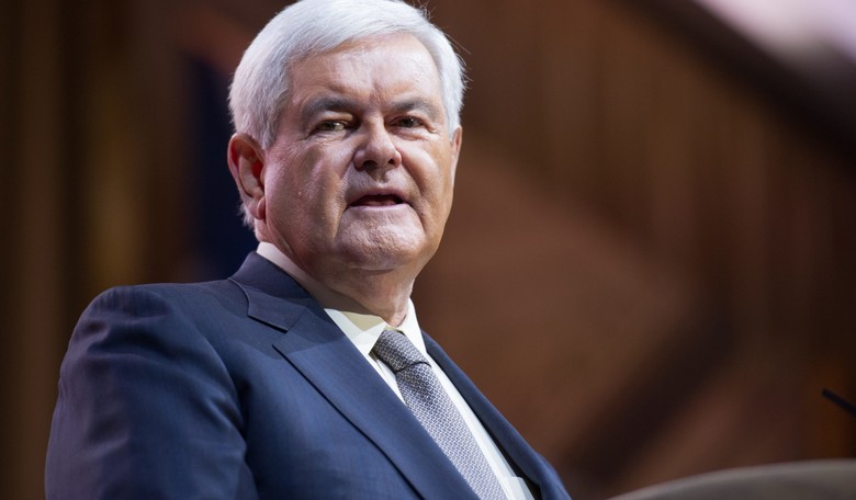 Newt Ponders Trump Train Exit, Calls Donald 'Absurd Amateur'