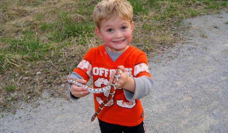 Let Them Be Boys: How Raising Two Sons Is Teaching This Mom to Be Brave
