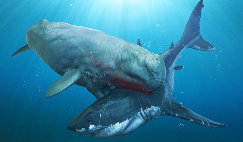 What the Heck Is a Leviathan and Why Does the Bible Mention Behemoth?