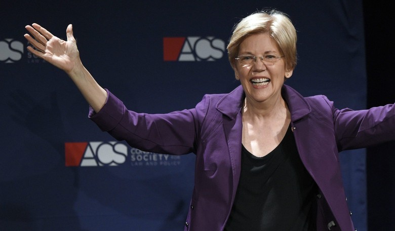 Warren: Dems Not Led by One Person Right Now, but 'the Grassroots'