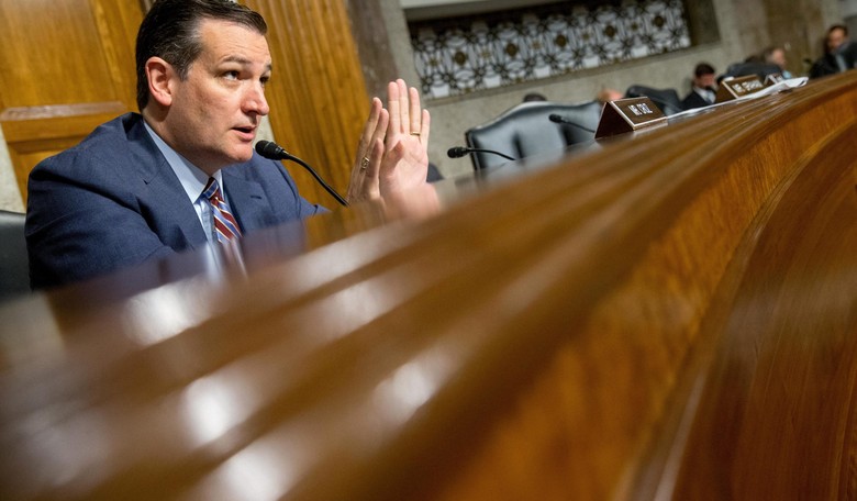 This Senate Hearing Proves That Ted Cruz Is the Conservative Movement's Real Leader