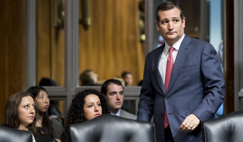 Cruz Warns of ‘Profound Damage’ to Economy if NAFTA Terminated