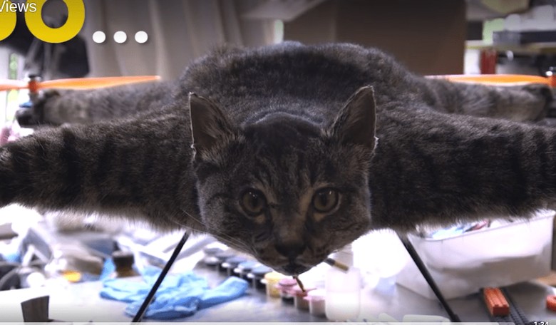 The Inevitable Pairing of Taxidermy and Drones