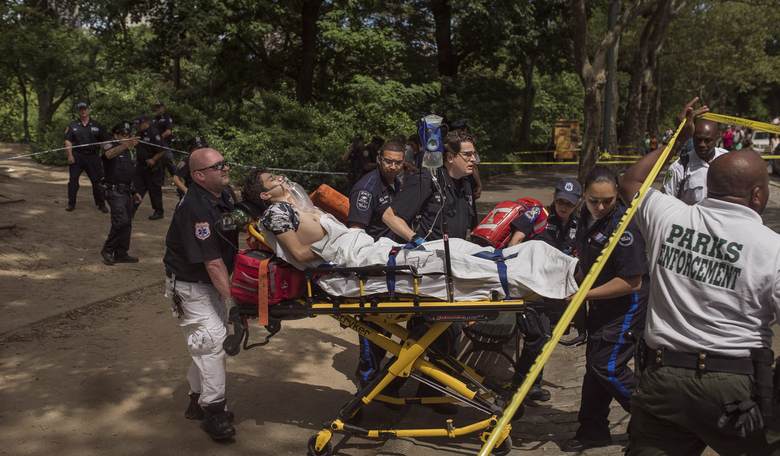 Homemade Explosive Device Caused Explosion in Central Park over July 4th Holiday