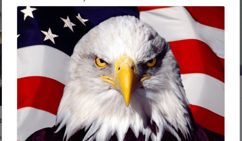 The 20 Most Patriotic and Snarky Tweets From #AmericaIn4Words