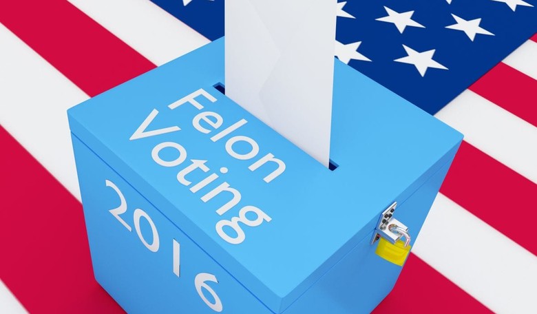 Virginia High Court Strikes Down Governor's Felon Voting Order