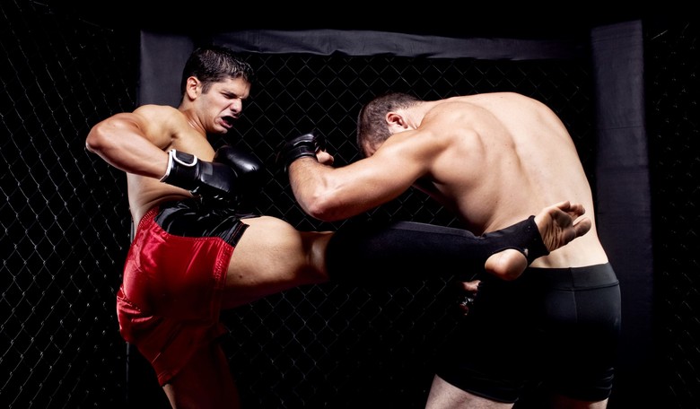 My Son's First Amateur MMA Fight: The Nicest Guys Who Can Also KO You