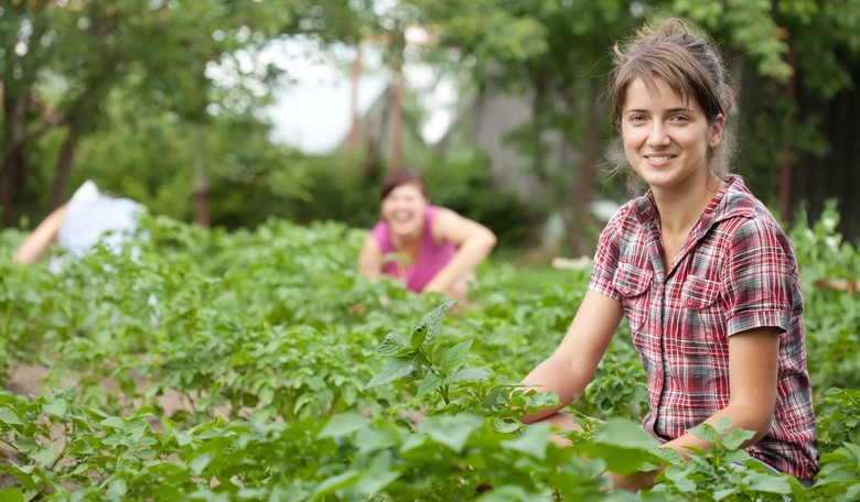 50 Summer Jobs for Teens