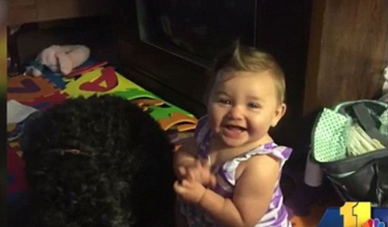 Hero Dog Sacrifices Himself to Save Infant in House Fire