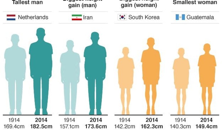 New Study Finds Dutch Men Are the Tallest in the World