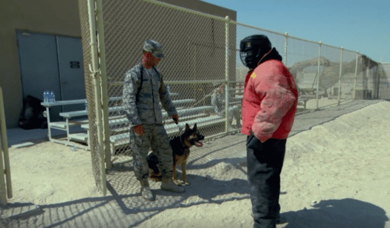 Conan O'Brien Is Attacked by a Military Dog...
