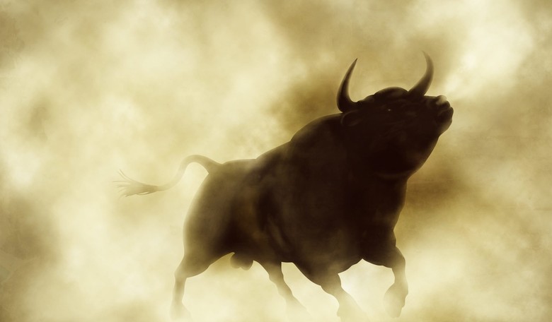 It's Not the Bull, It's the China Shop