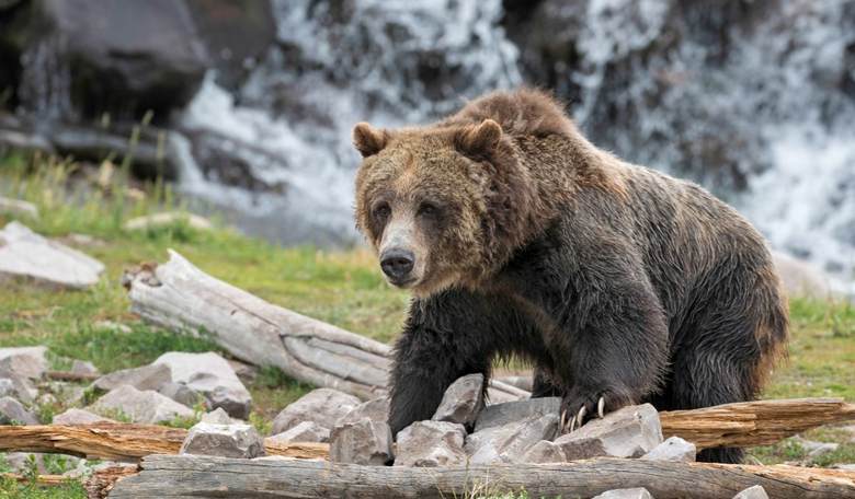 The Problems with National Parks? Too Many People