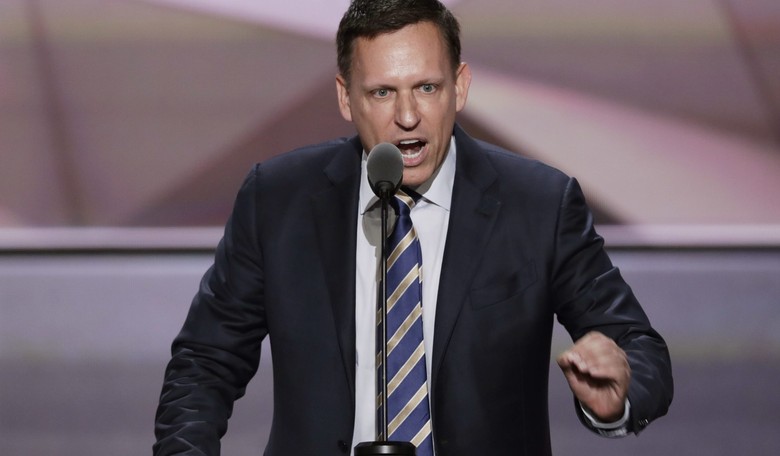 Peter Thiel on Trump: 'Exactly What We Need'