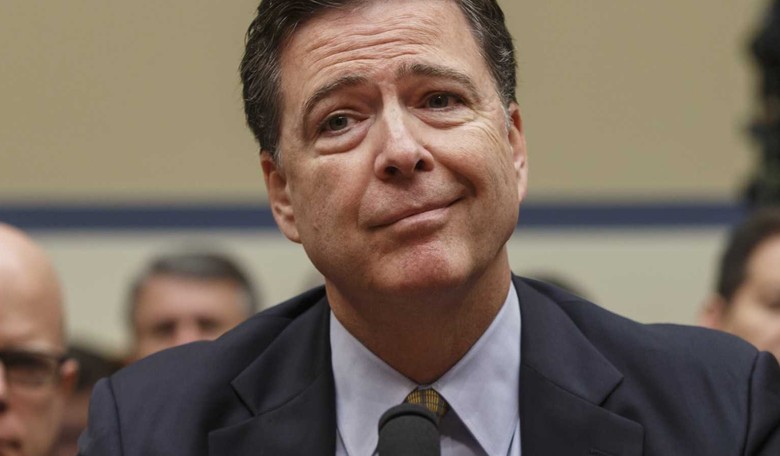 Free the FBI 100!