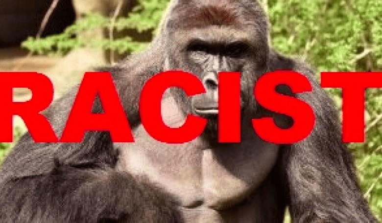 UMass RAs: 'D**ks Out for Harambe' Is Sexual Assault