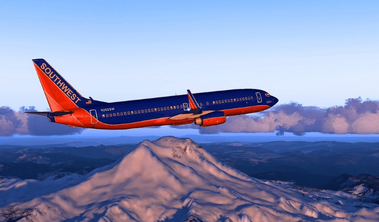 This Flight Attendant Will Surprise You!