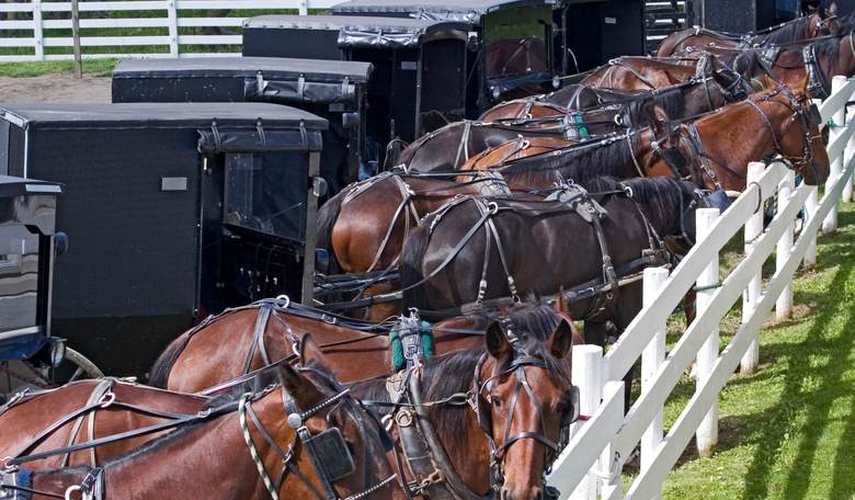 75 Arrested for Underage Drinking at 'Large Amish Party' in Ohio