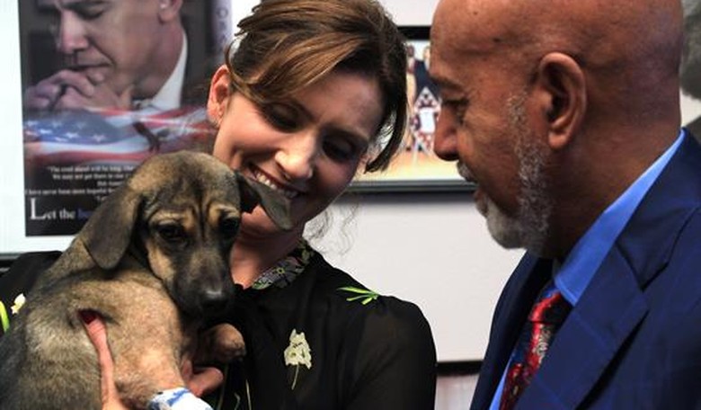 House Bans Killing Dogs and Cats for Human Consumption