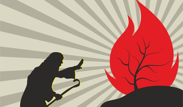 Daily Bible Reflection—9/15