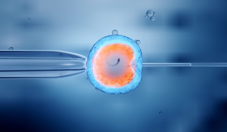 Ohio Appellate Court Weighs Humanity of Frozen Embryos after Cryogenic Tank Failure