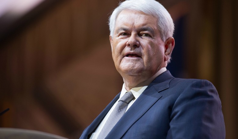 Newt Gingrich on Veritas Videos: 'Where's the FBI?'