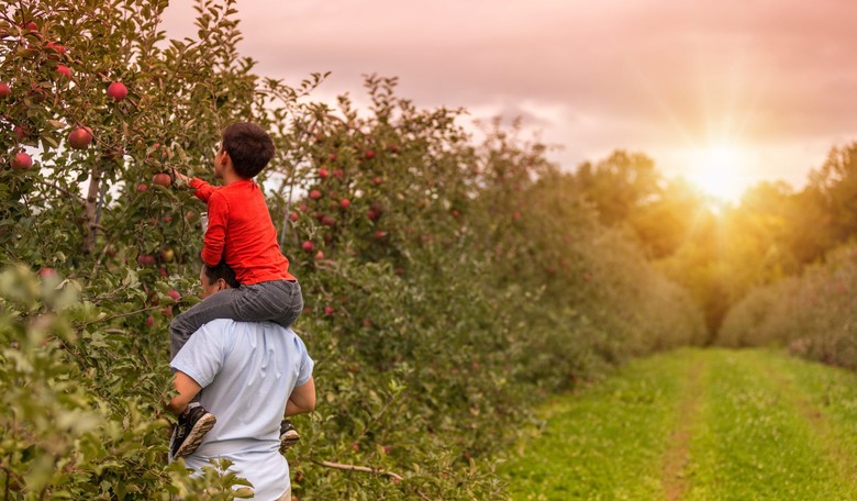 PJ Media Parenting's Best of the Web—10/14