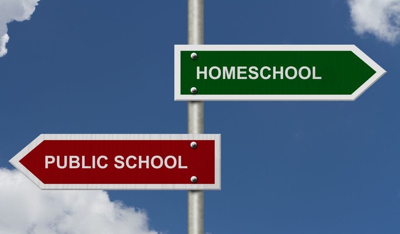 Why Self-Directed Education Has More to Offer Than Public Education
